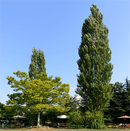 院内風景